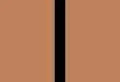 Brigitte Rigo 15 Pantyhose