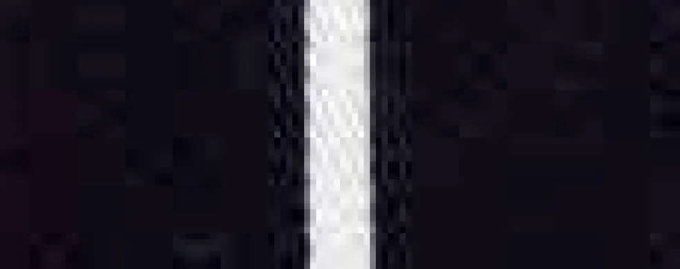 Cruze Stockings