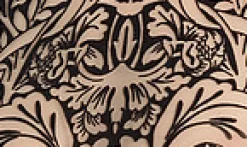 Morris Body