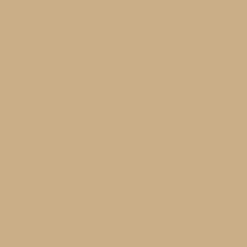 Time 15 Pantyhose