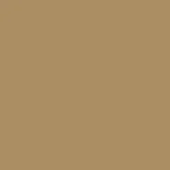 Top 7 Pantyhose